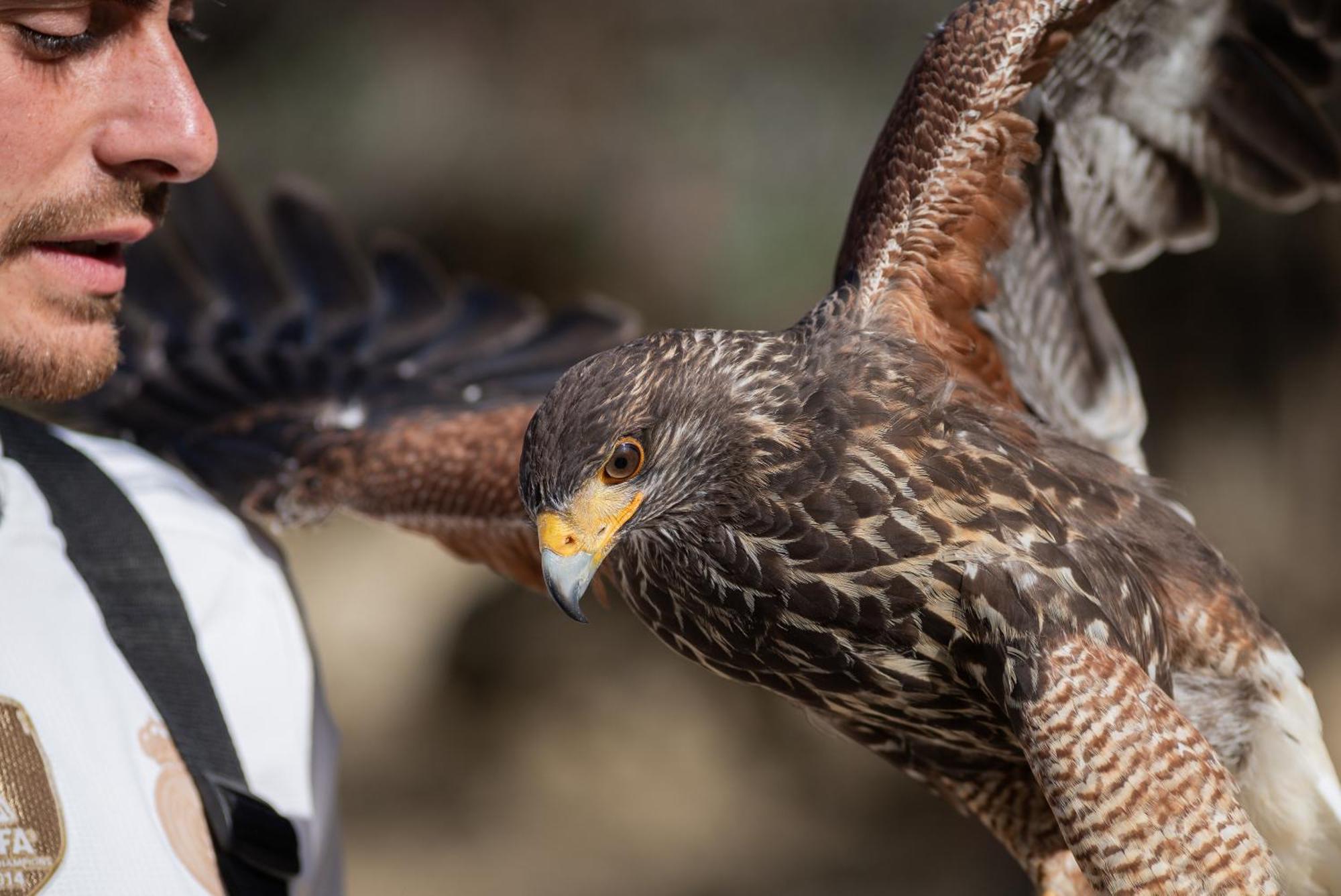 Cortijo rural las aves Βίλα Jimena De La Frontera Εξωτερικό φωτογραφία