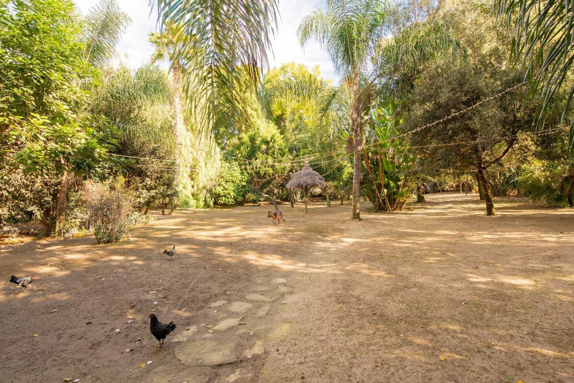 Cortijo rural las aves Βίλα Jimena De La Frontera Εξωτερικό φωτογραφία