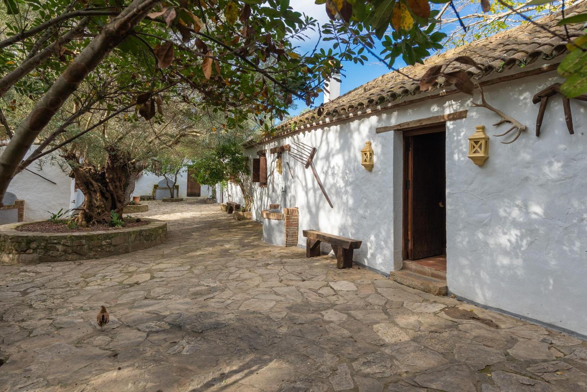 Cortijo rural las aves Βίλα Jimena De La Frontera Εξωτερικό φωτογραφία